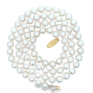 Estate Modern 6.50 x 7.00 mm Japanese Akoya Cultured Pearls 24" 14kt Yellow Gold Necklace — reverse view
