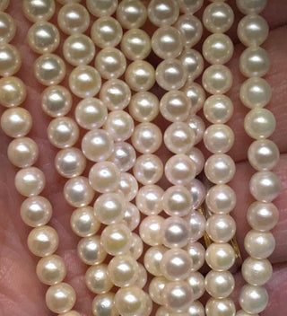 Estate Japanese Akoya 5-5.5mm Fine Cultured Pearl Strands 13307