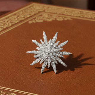 Modern Tiffany & Co. Stardust 3.20 ctw Diamond Platinum Brooch — detail view