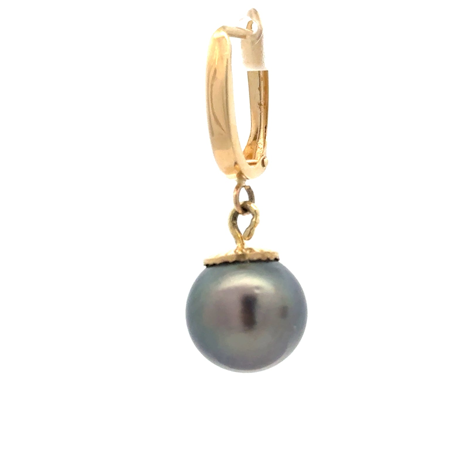 Estate Modern 11.5mm Tahitian Pearl 14kt Yellow Gold Drop Earring — scale view